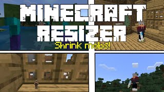 Shrinkray  Minecraft Resizer Addon  Minecraft Bedrock [upl. by Olds]