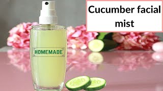 Homemade Cucumber Facial Mist Toner [upl. by Llatsyrc556]