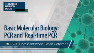 Basic Molecular Biology PCR and RealTime PCR – RTPCR Fluorescent ProbeBased Detection [upl. by Quintie]