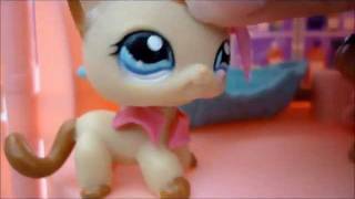 LPS  Love Story  Episode 3 [upl. by Aihsein]