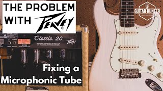 The Problem with Peavey [upl. by Renell181]