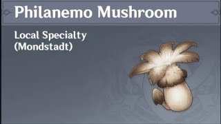 WHERE TO BUY PHILANEMO MUSHROOM Genshin Impact [upl. by Kudva]