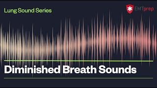 Diminished Breath Sounds  EMTprepcom [upl. by Adi]