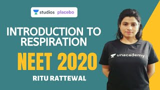 Phoenix 20 Biology Most Important Video for NEET 2025  Udaan [upl. by Teiv19]