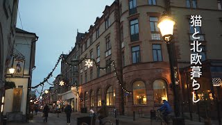 北欧暮らし🌿学校帰りに市場でお買い物  スウェーデンの素敵な文房具屋さん  北欧の冬支度  海外生活vlog [upl. by Katerina]