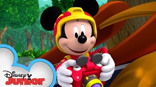 Animal Antics  Mickey Mouse MixedUp Adventures  disneyjr [upl. by Milissa377]