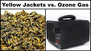 Destroying a Dangerous Yellow Jacket Nest With Ozone Gas Mousetrap Monday [upl. by Naamana]