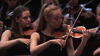 Anton Arensky  Variations on a theme by Tchaikovsky Op 35a [upl. by Heaps]