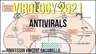 Virology Lectures 2021 20  Antivirals [upl. by Mallon]