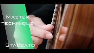 Staccato  Master technique in classical guitar  R hand technique  musical articulation [upl. by Korb]