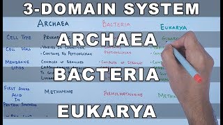 Archaea  Bacteria  Eukarya [upl. by Annad]