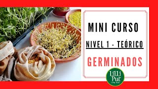 🌾CÓMO HACER GERMINADOS en casa 👉 Curso básico TEÓRICO [upl. by Alyaj]