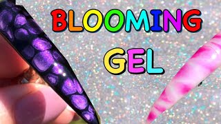 BLOOMING GEL NAILS  BLOSSOM Nails  How To Use [upl. by Tiny]