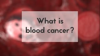 What is blood cancer [upl. by Perseus]