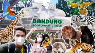 BANDUNG ZOOLOGICAL GARDEN [upl. by Mohammed]