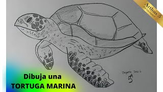 ¿Como dibujar una TORTUGA MARINA   How to draw a SEA TURTLE [upl. by Bille]