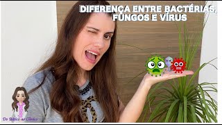 DIFERENÇA ENTRE BACTÉRIAS FUNGOS E VÍRUS [upl. by Annaes]