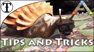 Fast Achatina Snail Taming Guide  Ark  Survival Evolved Tips and Tricks [upl. by Annaesor834]