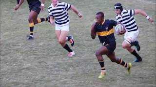 Best Rugby Dive of all time  DHS vs Hilton   Libo Mngomezlu [upl. by Arch842]