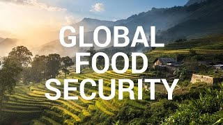 Impact Story Global Food Security [upl. by Airemahs]