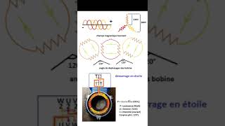 moteur asynchrone triphasé [upl. by Alton252]