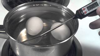 How to Pasteurize Eggs at home [upl. by Sillert627]