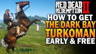 Red Dead Redemption 2 How to Find and Tame an Elite Arabian Horse [upl. by Tuckie]