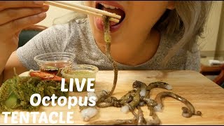 LIVE Octopus Tentacles  ASMR Mukbang Eating Sounds  NE Lets Eat [upl. by Minardi]