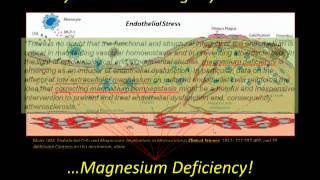 Misled and Misfed What they dont want you to know about Magnesium [upl. by Elyrpa]