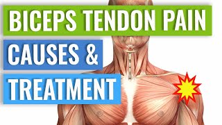 Biceps Tendonitis Treatment and Exercises Explained [upl. by Ealasaid]