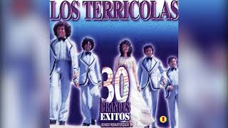 Los Dandys  Sus Mejores quot20 Super Exitosquot Disco Completo [upl. by Huskamp]