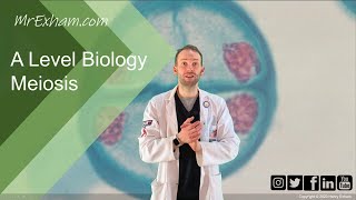 Meiosis and chromosome mutation  A Level Biology [upl. by Lakin657]