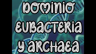 DOMINIOS EUBACTERIA Y ARCHAEA  Biología Profe Germán [upl. by Aneehc]