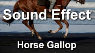 Horse Gallop Sound Effect YouTube [upl. by Sukin]