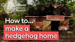 How to make a hedgehog house  Natural History Museum [upl. by Vaas321]