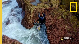 Harvesting Barnacles in Portugal  Gordon Ramsay Uncharted [upl. by Avid93]