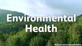 What is Environmental Health [upl. by Chapen]