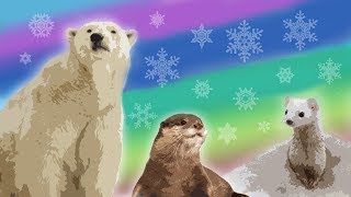 10 Arctic Animals for Kids – Snow Animals for Kids – Polar Animals [upl. by Ogren601]