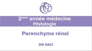 2ème année médecine Histologie Parenchyme rénal [upl. by Ainesy]