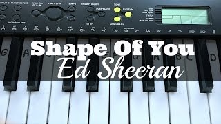 Shape Of You  Ed Sheeran  Easy Keyboard Tutorial With Notes Right Hand [upl. by Vowel]