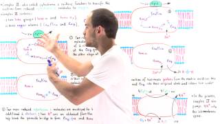 Complex IV of Electron Transport Chain [upl. by Ailisab]