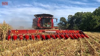 2019 Corn Harvest 16 Rows At a Time Case IH 9240 Combine [upl. by Newra]