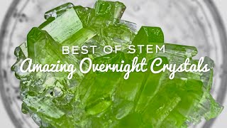 Grow Incredible CRYSTALS Overnight with AMAZING RESULTS [upl. by Jenness]