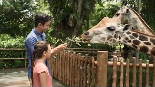 Singapore Zoo Worlds Best Rainforest Zoo [upl. by Leruj]