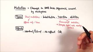 A2 Biology  Types of mutations OCR A Chapter 191 [upl. by Rodmann591]