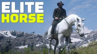 The Best Horse Thats NOT An Arabian The Missouri Fox Trotter Red Dead Redemption 2 Horses RDR2 [upl. by Onairam]