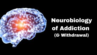 Neurobiology of Addiction  Quickstart Guide [upl. by Norehc]