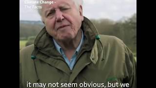 Climate Change  The Facts with Sir David Attenborough [upl. by Adnovad414]