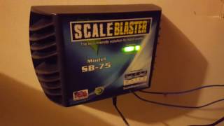 20160814 Scaleblaster Review at 90 days [upl. by Ayt]