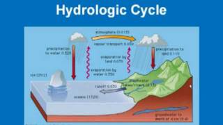 Limnology  Hydrologic Cycle [upl. by Nylecoj]